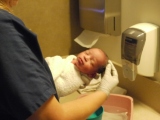 First bath (Thumbnail 26.8 k bytes, click through to 272 kB file).  Jeffrey was born around 1:20pm and this is his first bath at around midnight on the same day.  He looks pretty tranquil in the stills but in the video he's not so contented.  The nurse was really nice about it though, and even came to check on us the next night (though we weren't on her round).