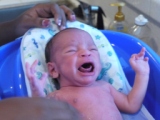 Yet another bath, on the 21st Oct, and he still doesn't like them! (Thumbnail 29.1 k bytes, click through to 288 kB file).