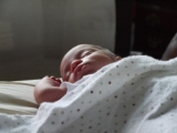 The young squire in repose, about 3 weeks old (Thumbnail 25.2 k bytes, click through to 251kB file).