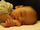 Still needs his sleep! (Thumbnail 25.8 k bytes, click through to 251kB file).